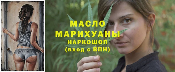 дживик Инта