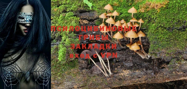 тгк Алексеевка