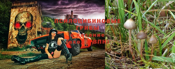 гашик Алзамай