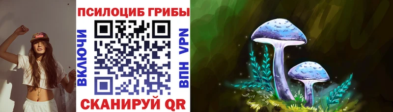 цены   Нестеров  Галлюциногенные грибы мухоморы 